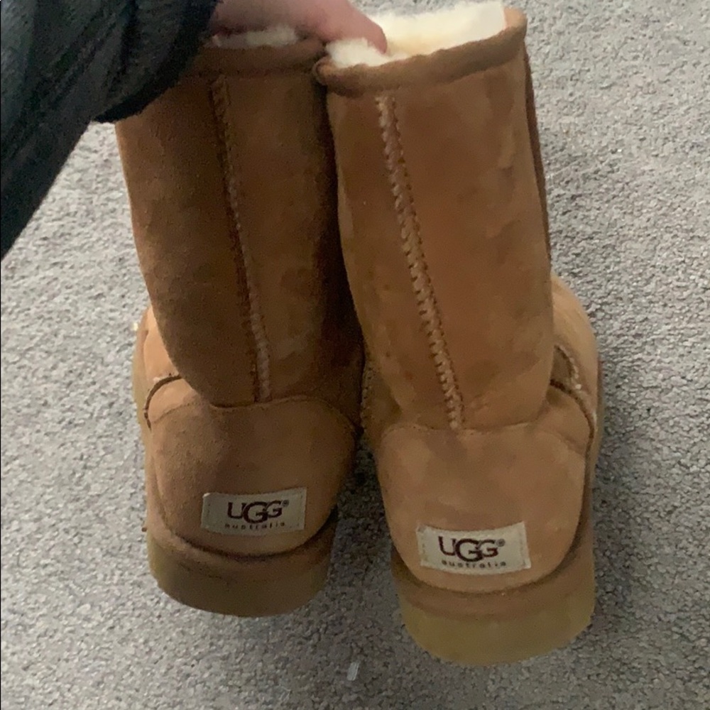brown uggs